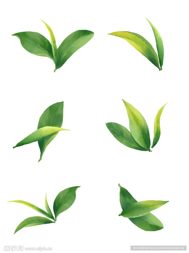 手绘水彩效果绿叶