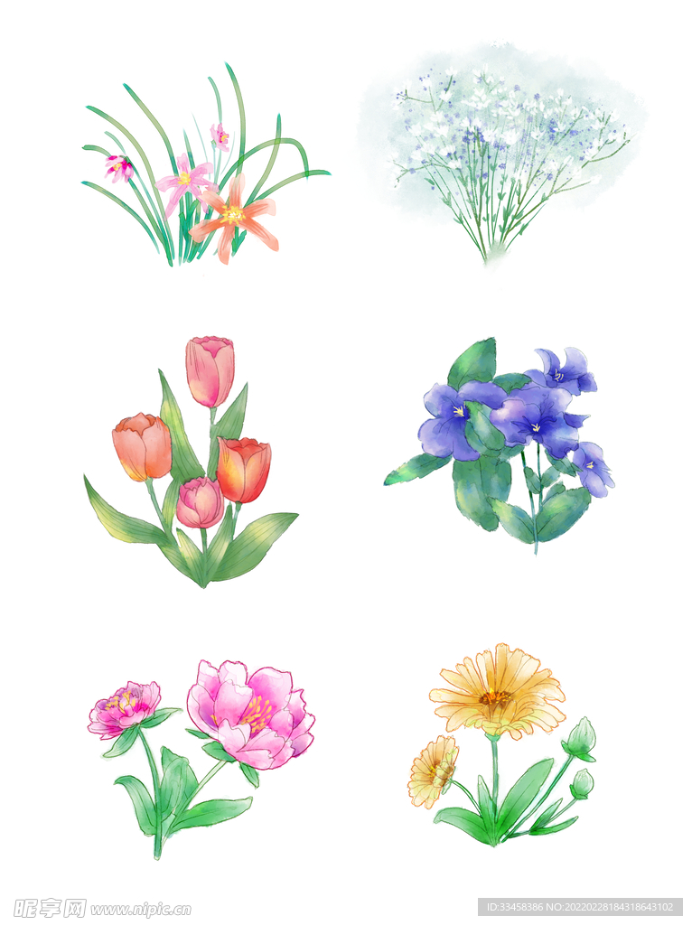 水彩草本花蕊花束