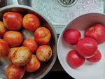 西红柿和褪皮后的西红柿