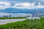 大理云想山风光