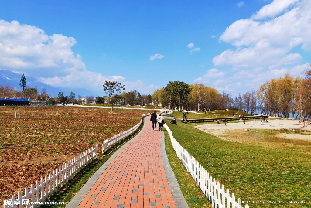 洱海生态廊道