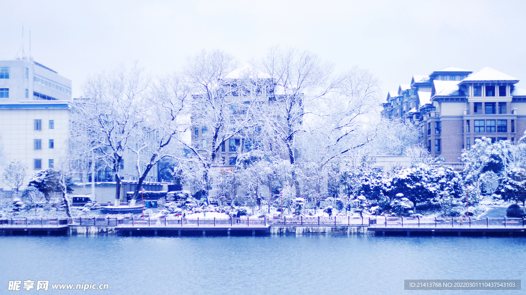 冬日雪景风景 