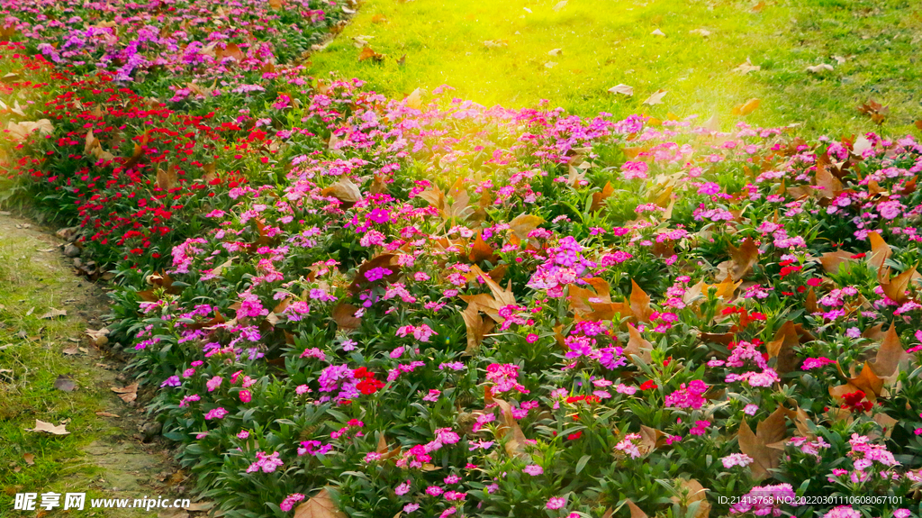 花草园艺花园 