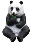 熊猫图片