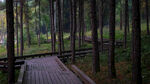 永安湖城市森林公园 