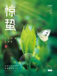 惊蛰海报