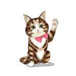 猫              