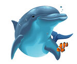 海豚