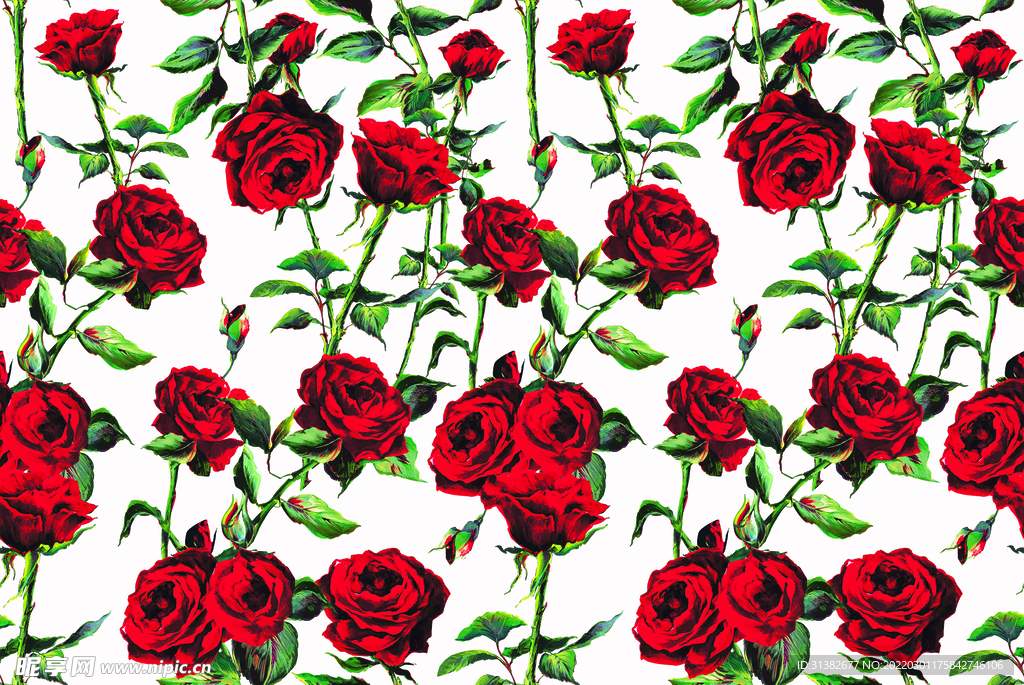 深红玫瑰花