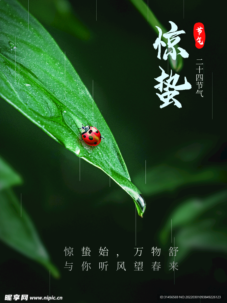 惊蛰