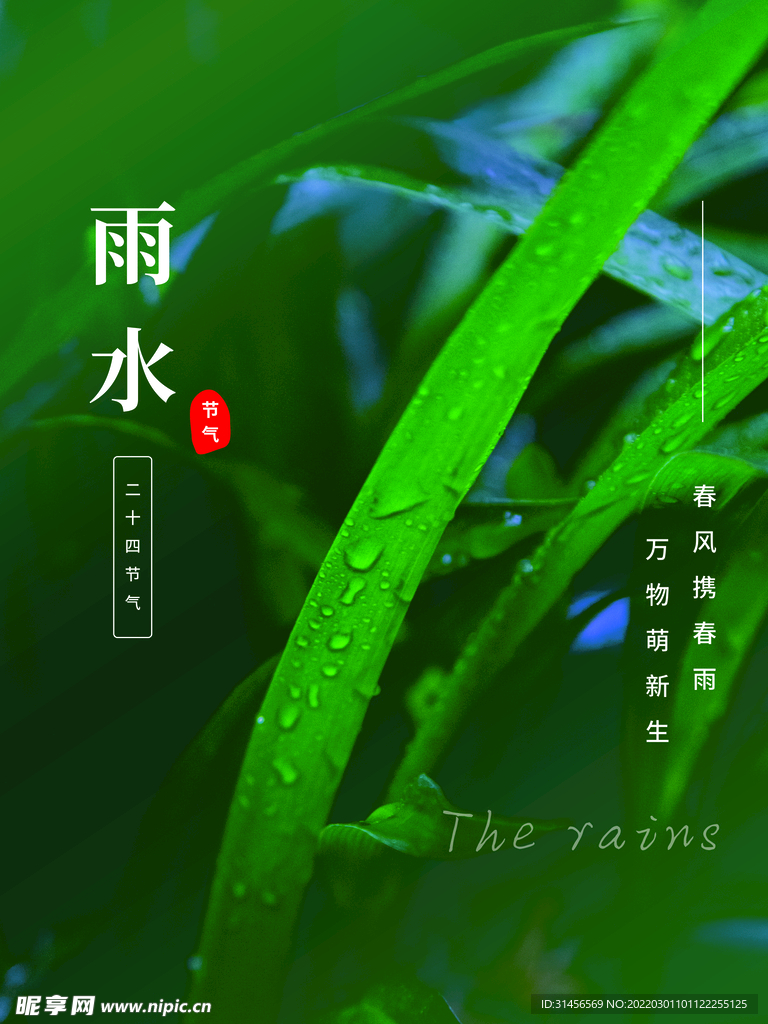雨水