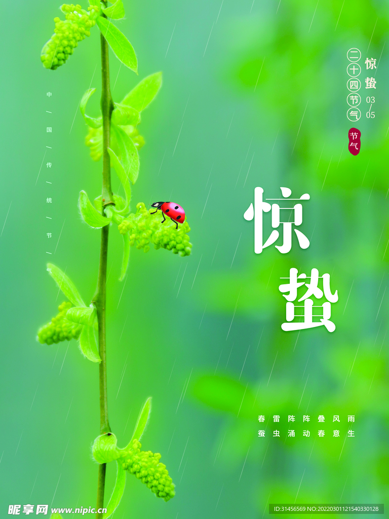 惊蛰