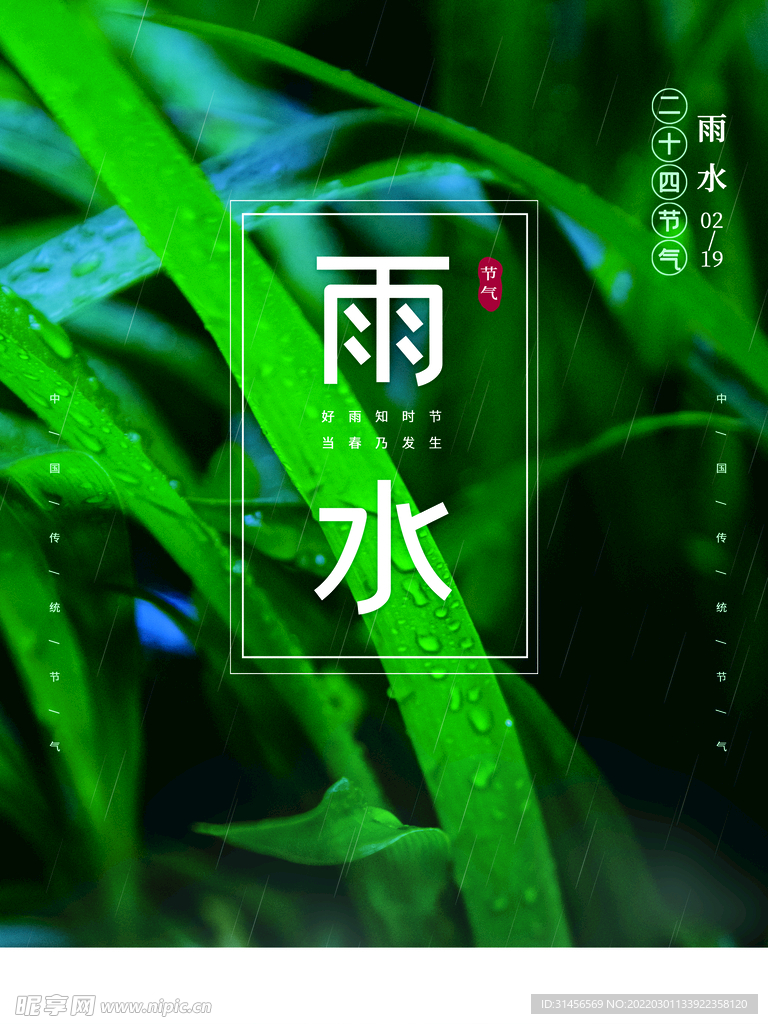 雨水