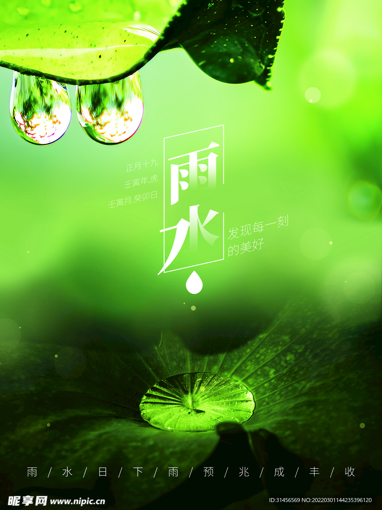 雨水