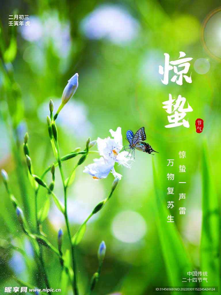 惊蛰