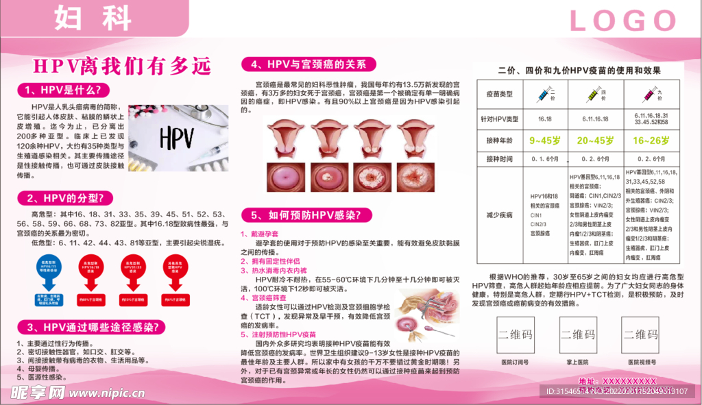 妇科HPV板报