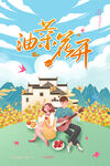油菜花
