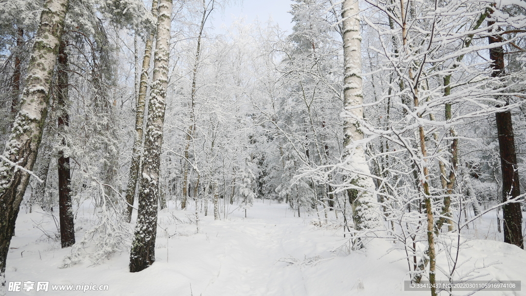 雪