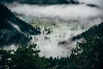山