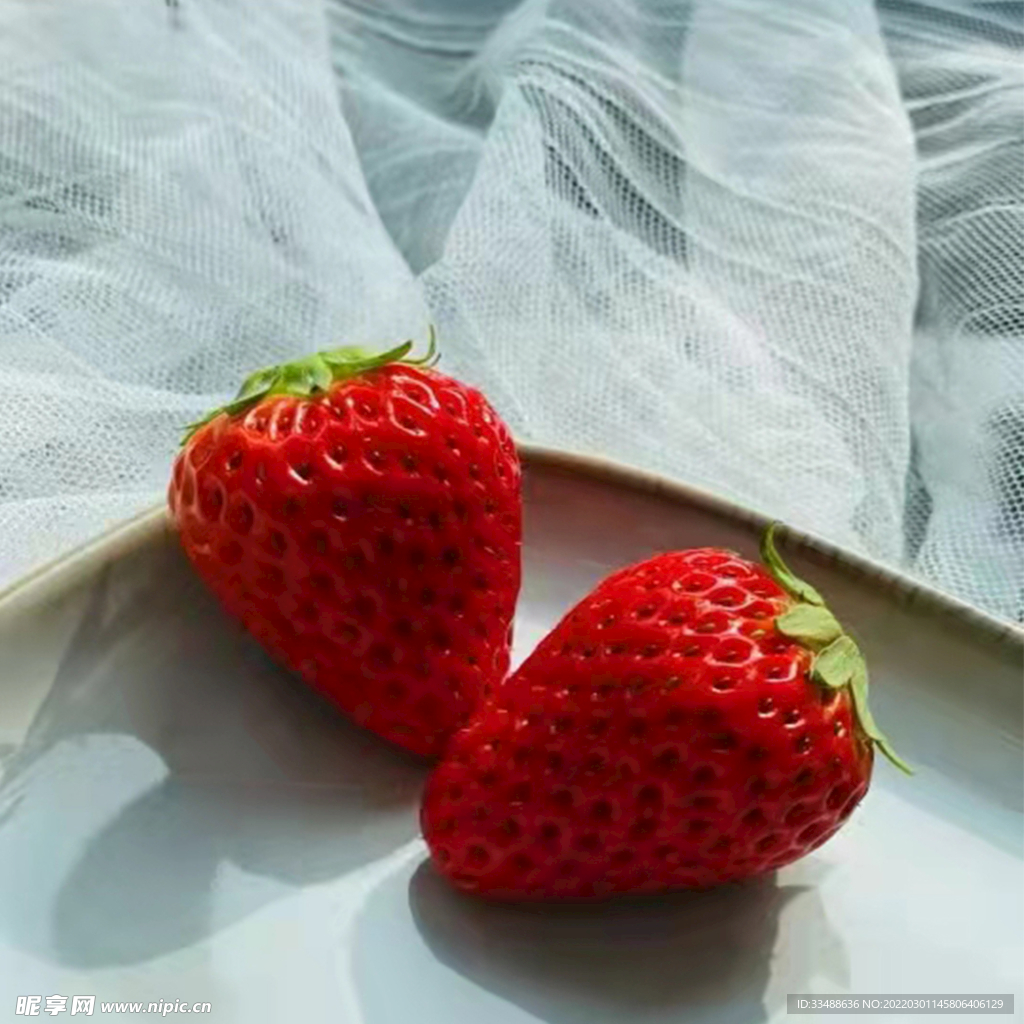 纱网草莓