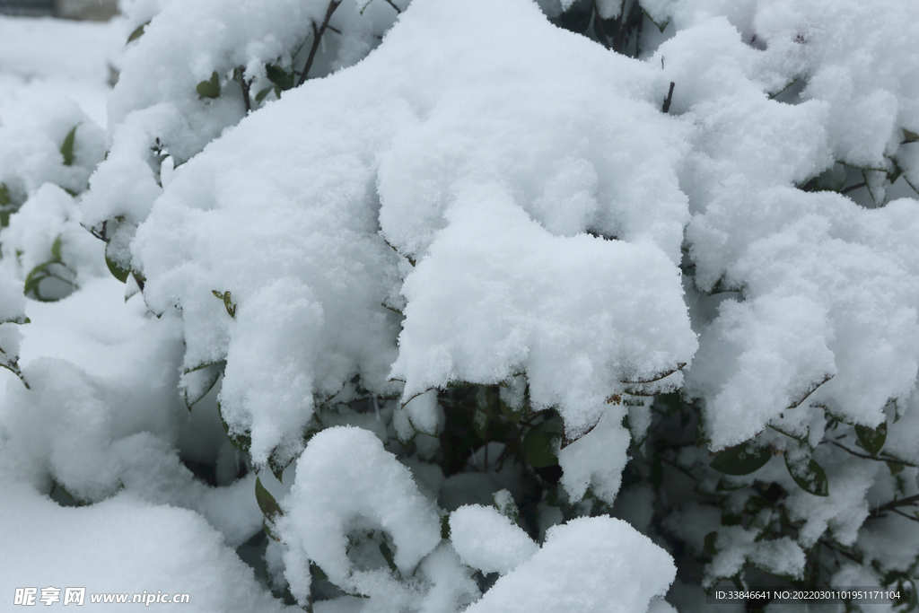 雪