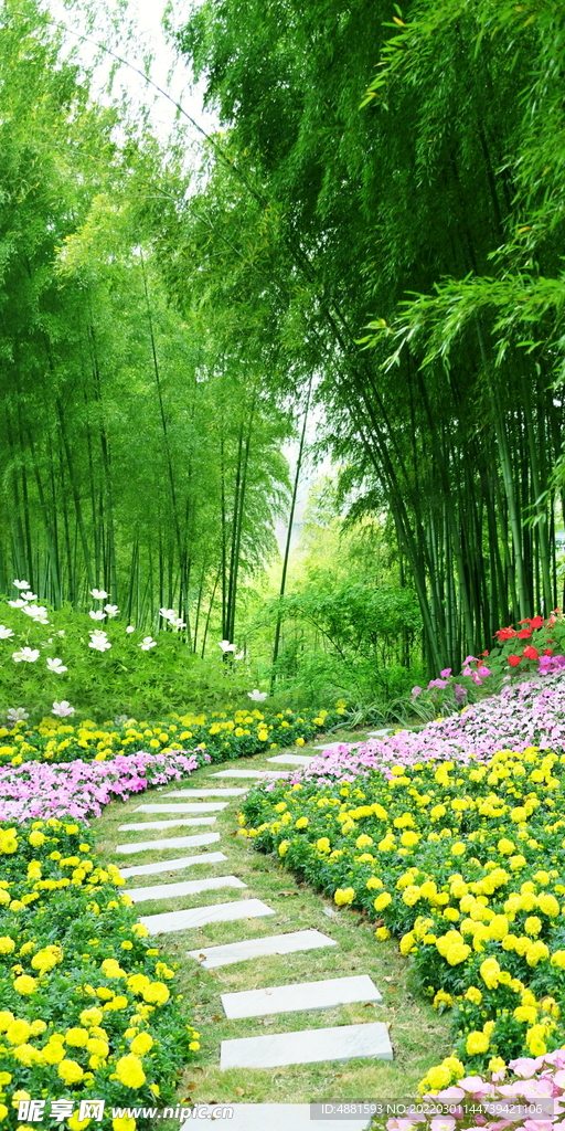 风景