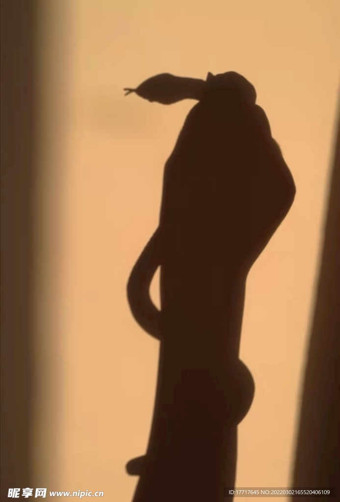 绕蛇