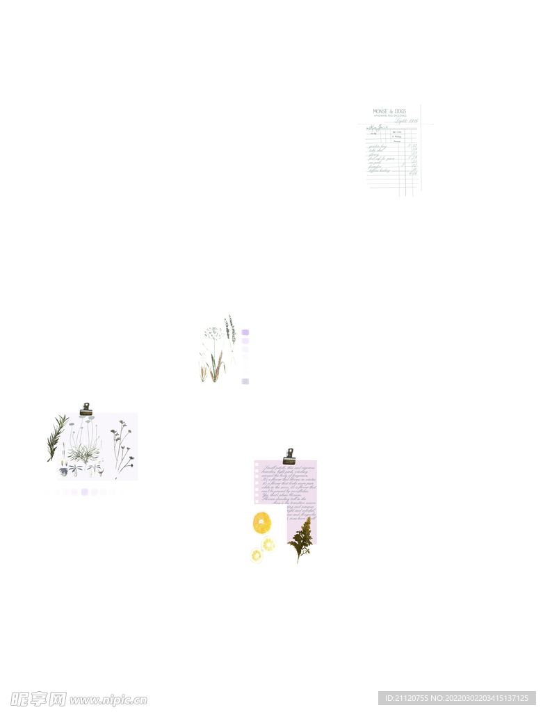 字母