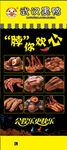 黑鸭
