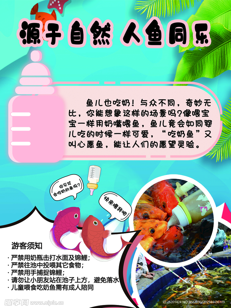 吃奶鱼