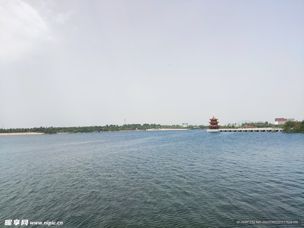 泰安 花海 天颐湖