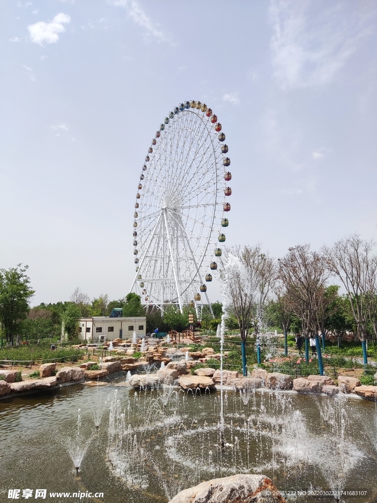 泰安 花海