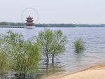 泰安 花海 天颐湖 