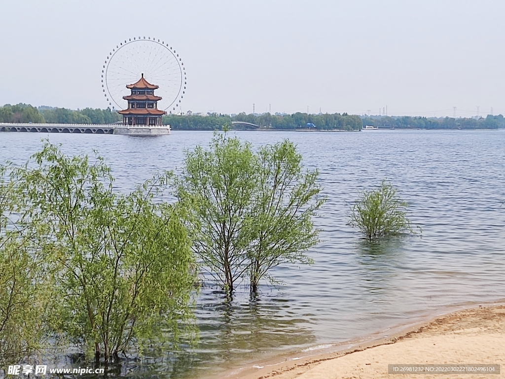 泰安 花海 天颐湖 