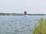 泰安 花海 天颐湖