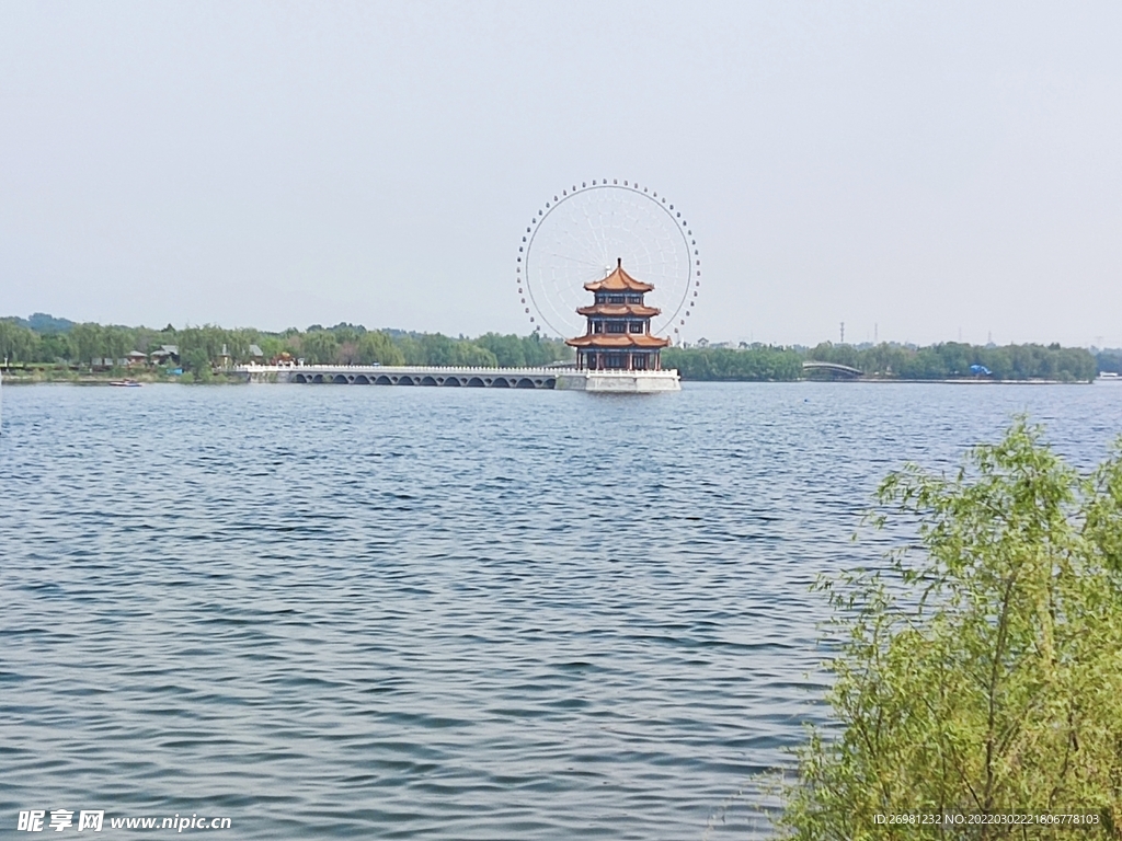 泰安 花海 天颐湖