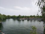 泰安 花海 天颐湖 