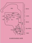 发音器官纵侧面示意图