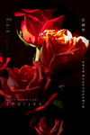 3月8妇女节女神节女王节