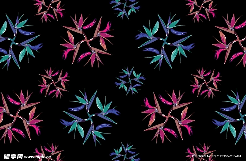 鹤望兰