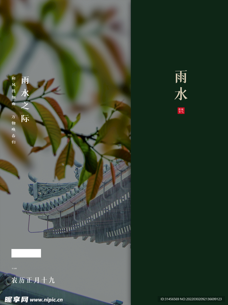 雨水