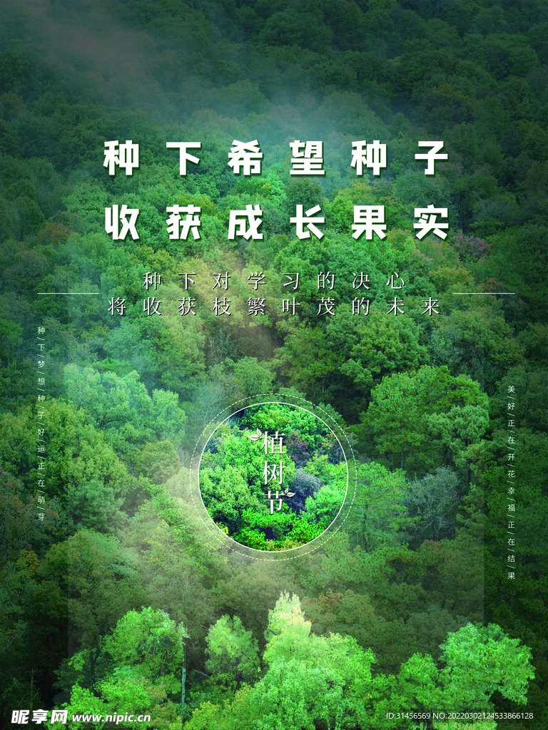 植树节