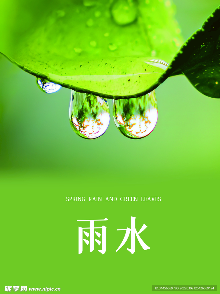 雨水