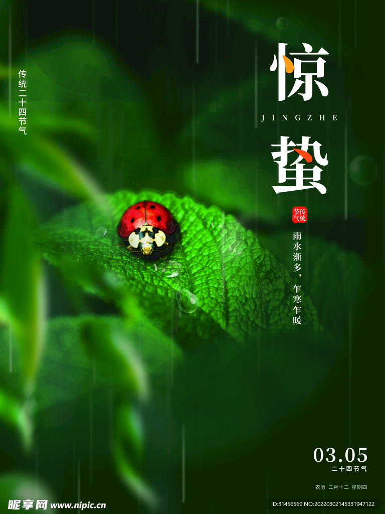 惊蛰