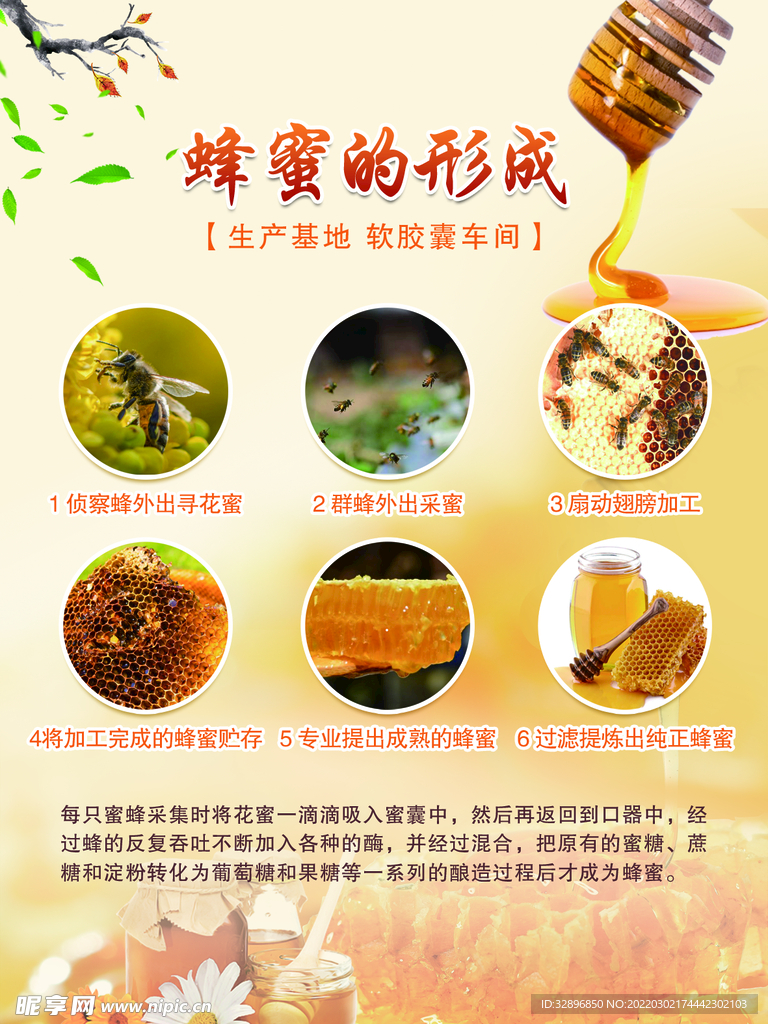 蜂蜜海报