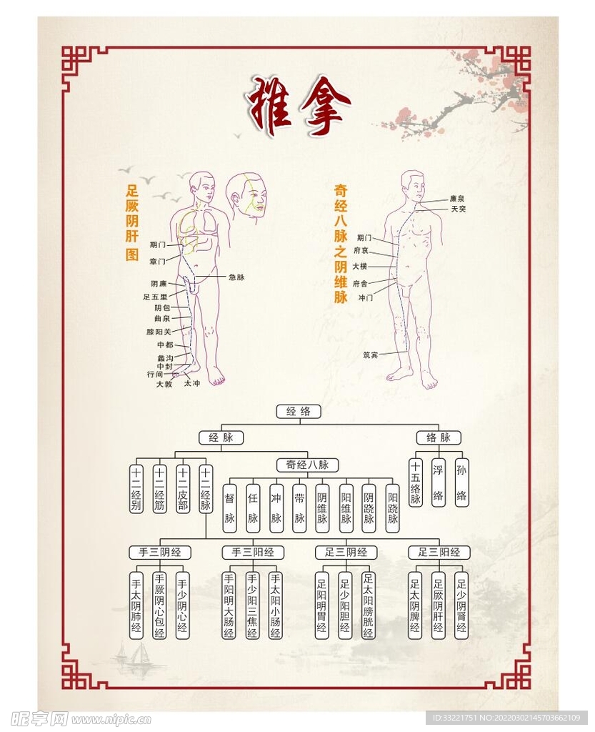 中医推拿穴位图