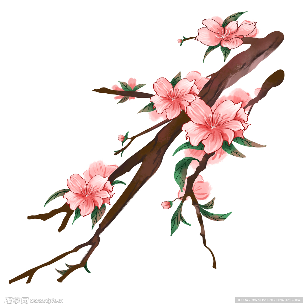 矢量桃花素材