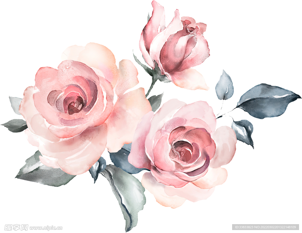 玫瑰花
