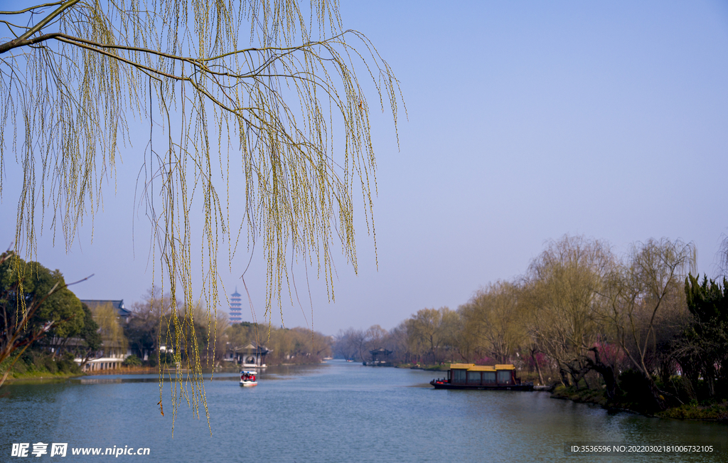 扬州早春美景 