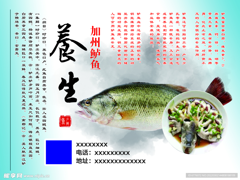 鲈鱼